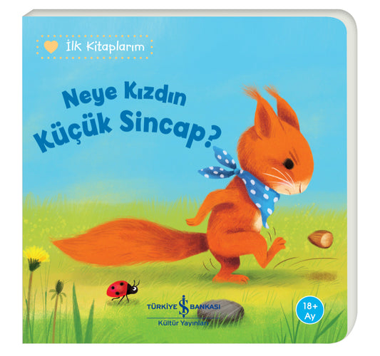 Neye Kızdın Küçük Sincap?