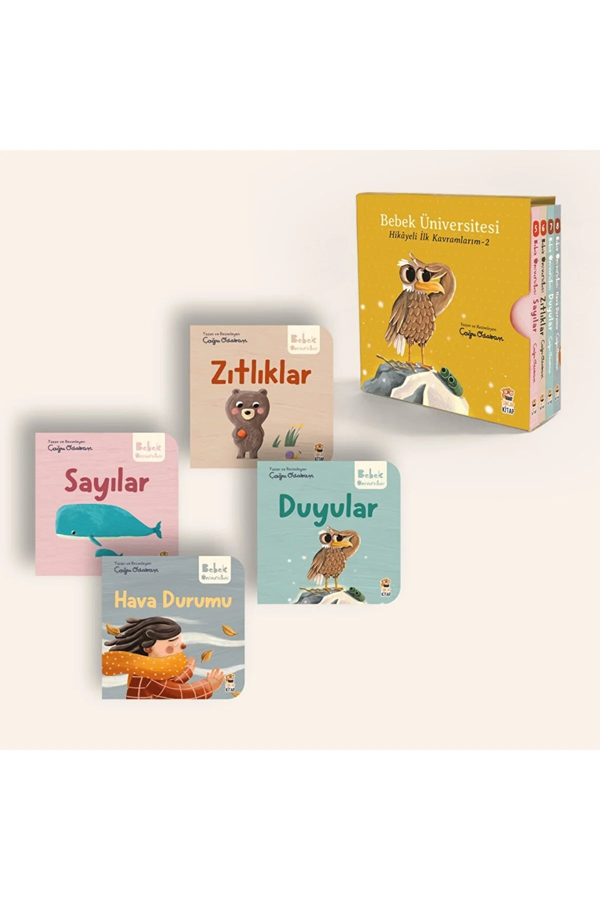 Bebek Üniversitesi Set 2