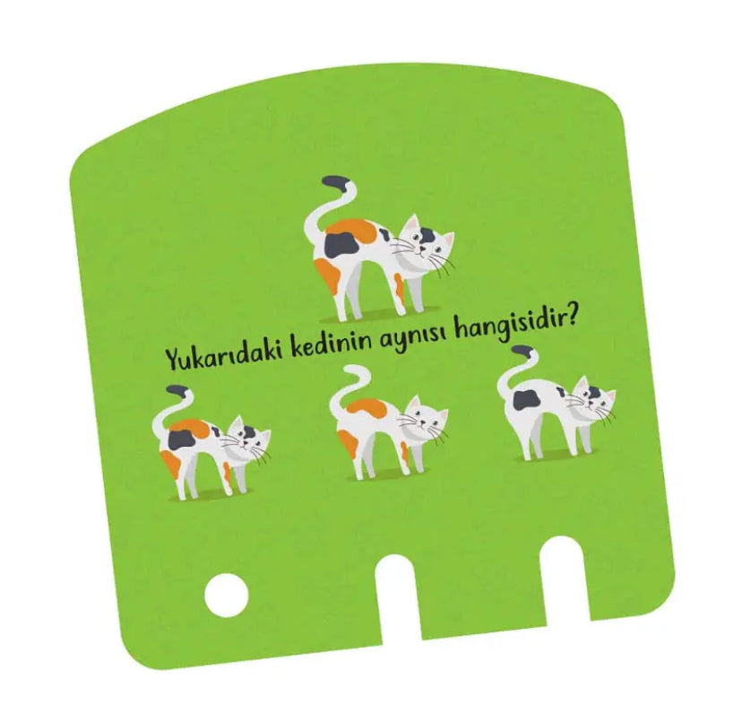 Zeka Kutusu 16-24 Ay