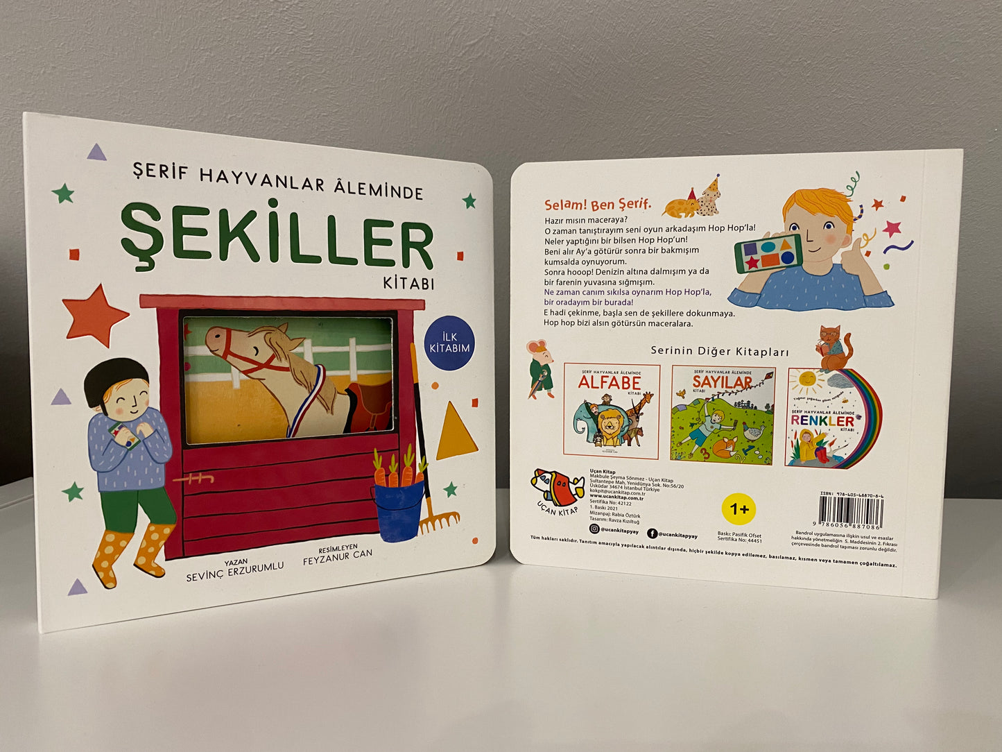 Şekiller Kitabı