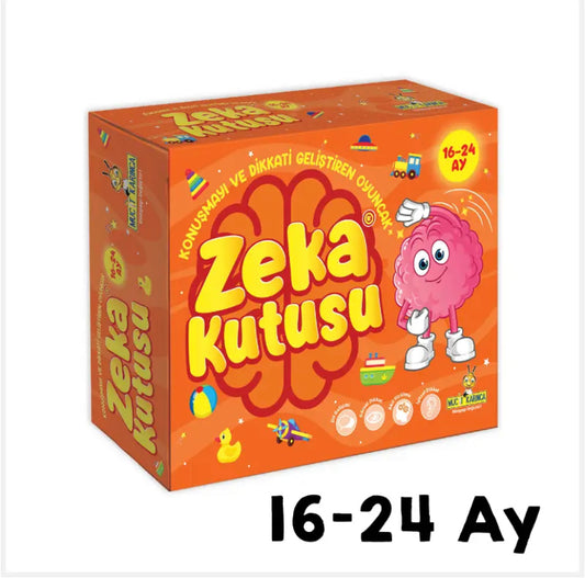 Zeka Kutusu 16-24 Ay
